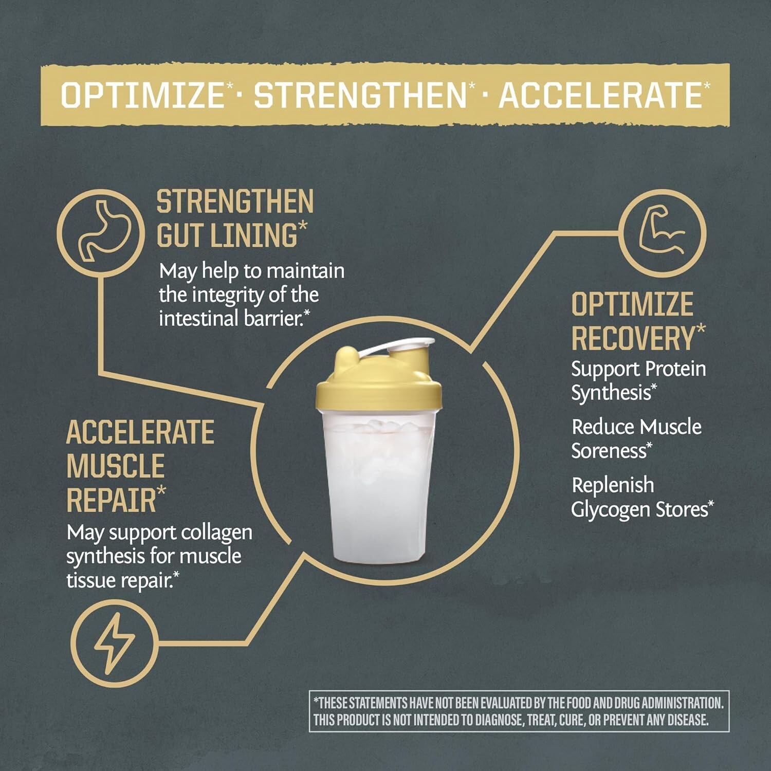 Sunwarrior Active Glutamine Powder for Muscle Recovery & Gut Health Support