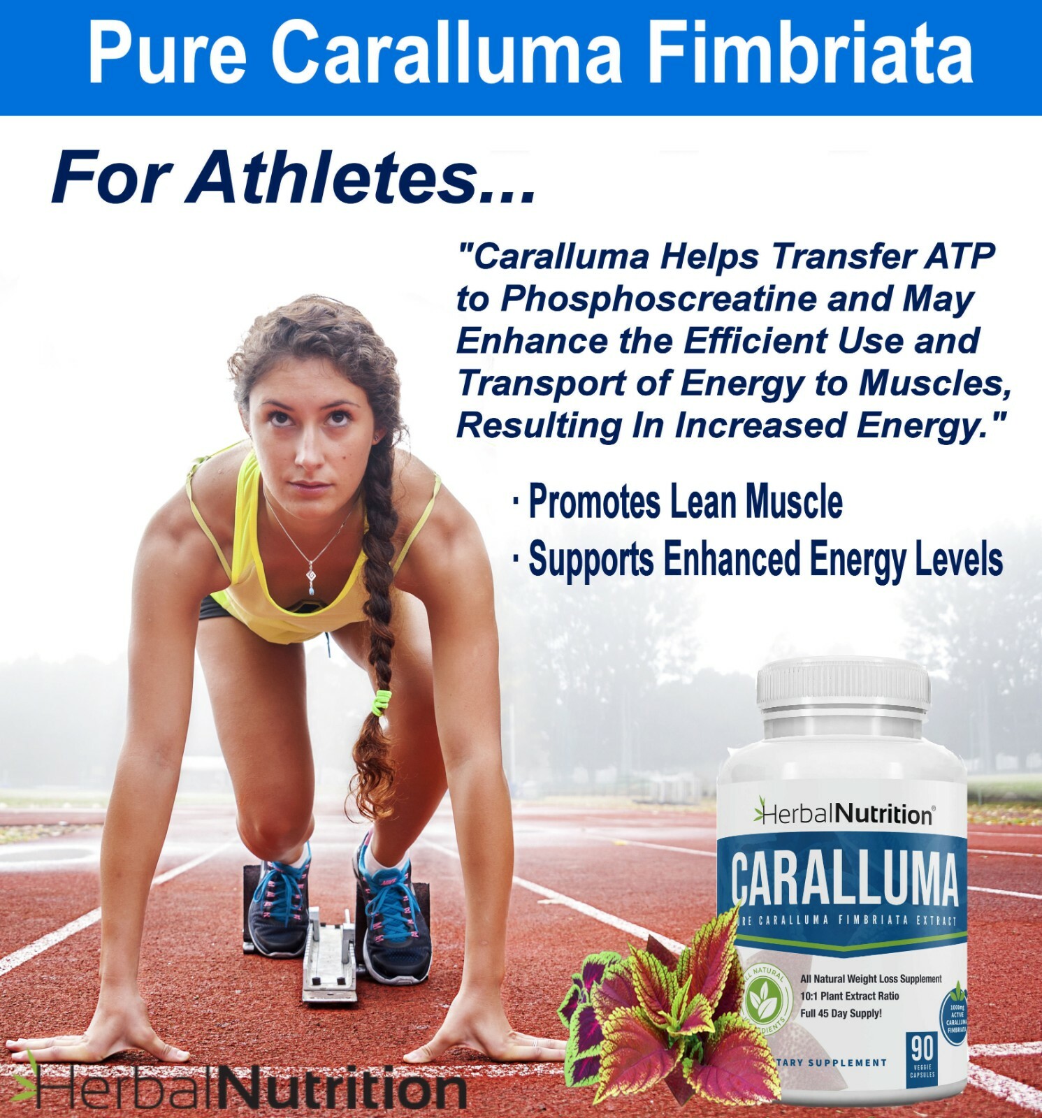 Best Caralluma Weight Loss Supplement 1000mg 10:1 Fat Burner 180 Caps 2 Pack!