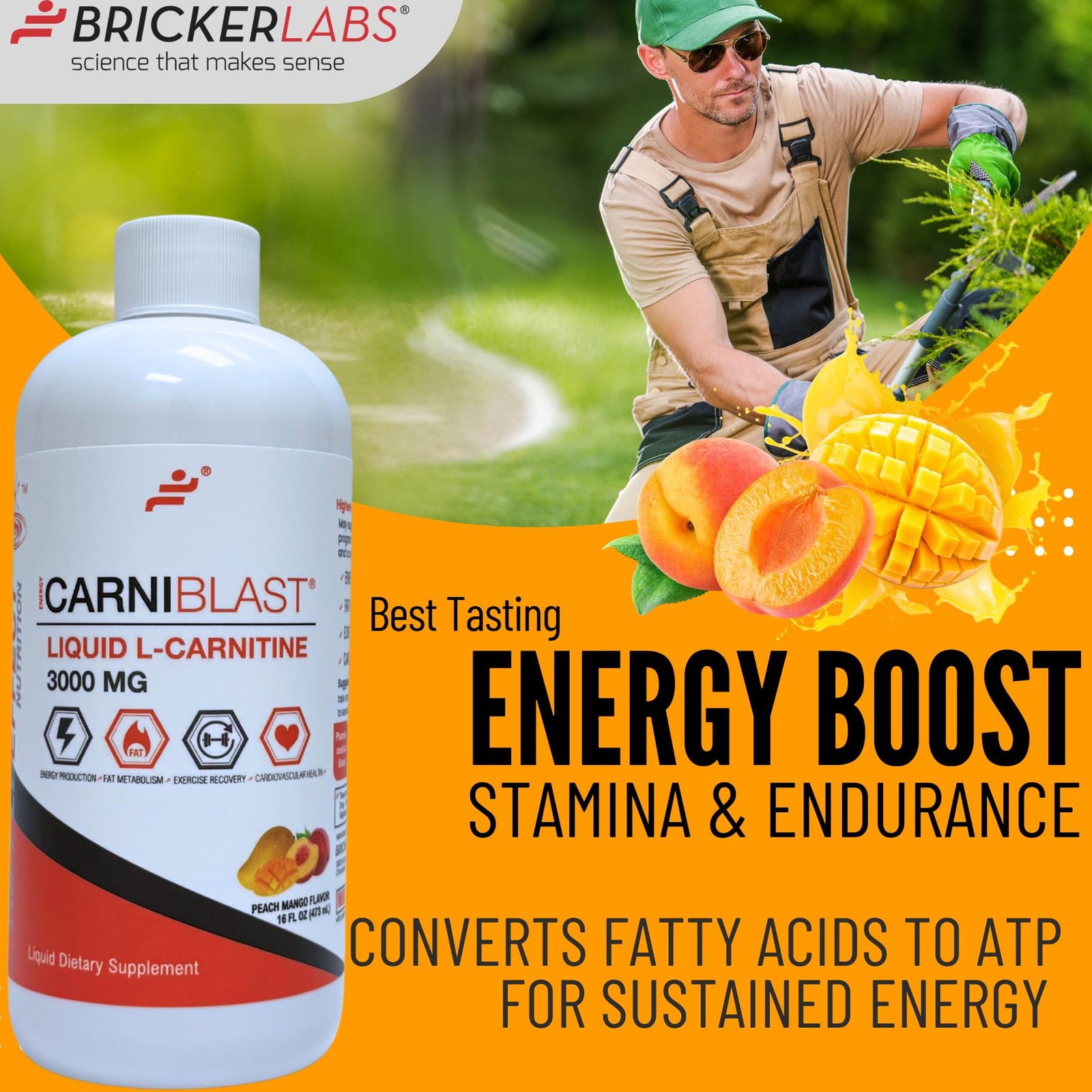 Bricker Labs CARNIBLAST Liquid L-Carnitine 3000mg 16 Fl Oz (Pack of 1)
