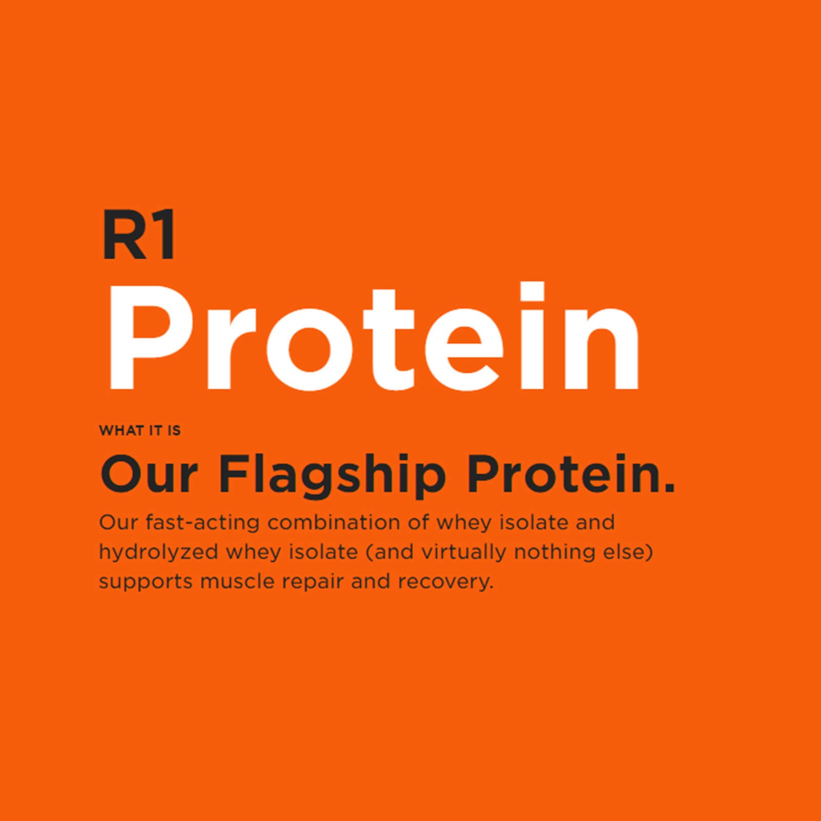 RULE 1 Protein 29 serv Mint Chocolate Chip Protein Isolate Hydrolysate 2.01lb