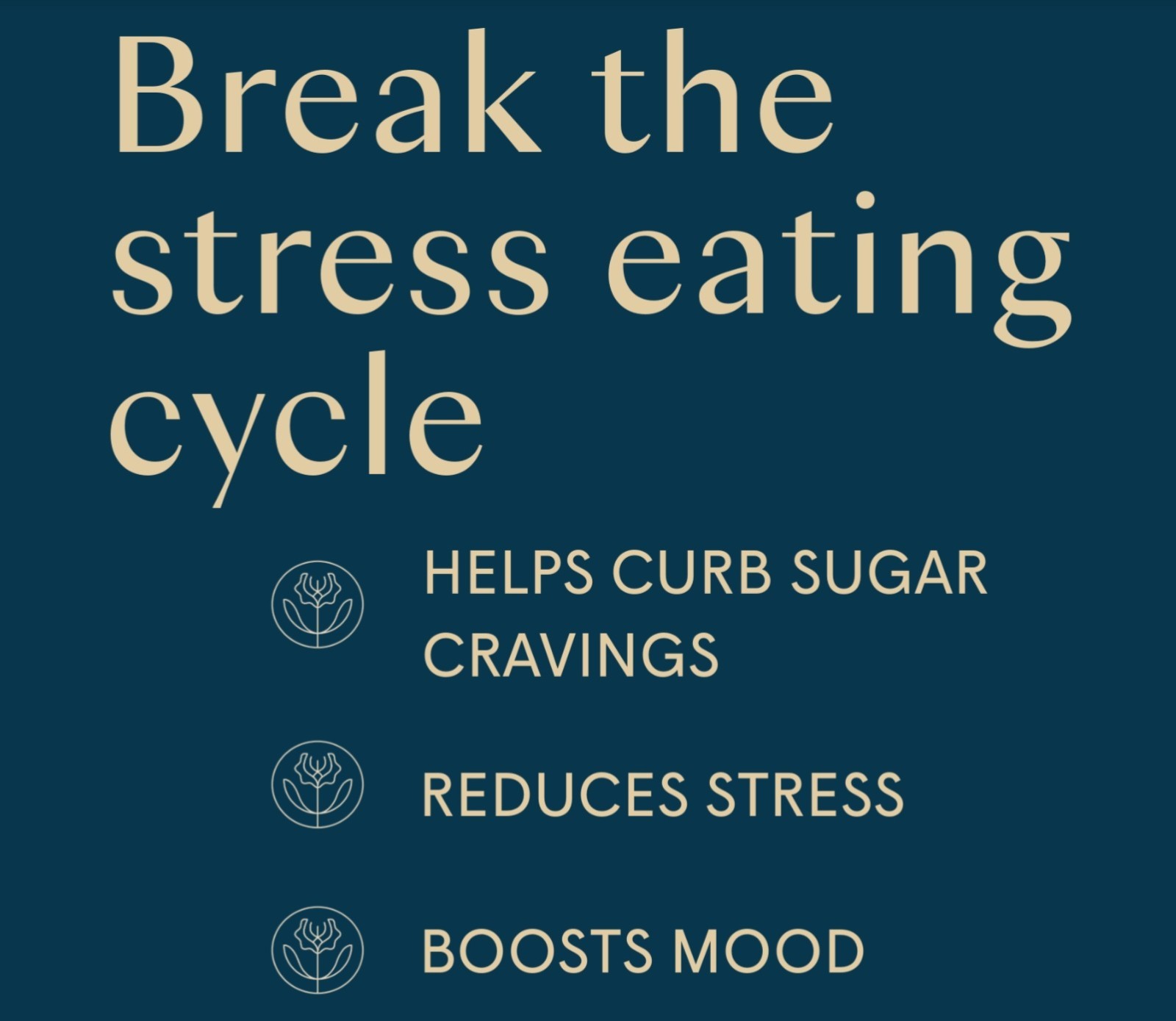 Wile STAVE THE CRAVE 3.4 oz (30 Serv) Reduce Sugar Crave Chai Drink BESTBY 07/26