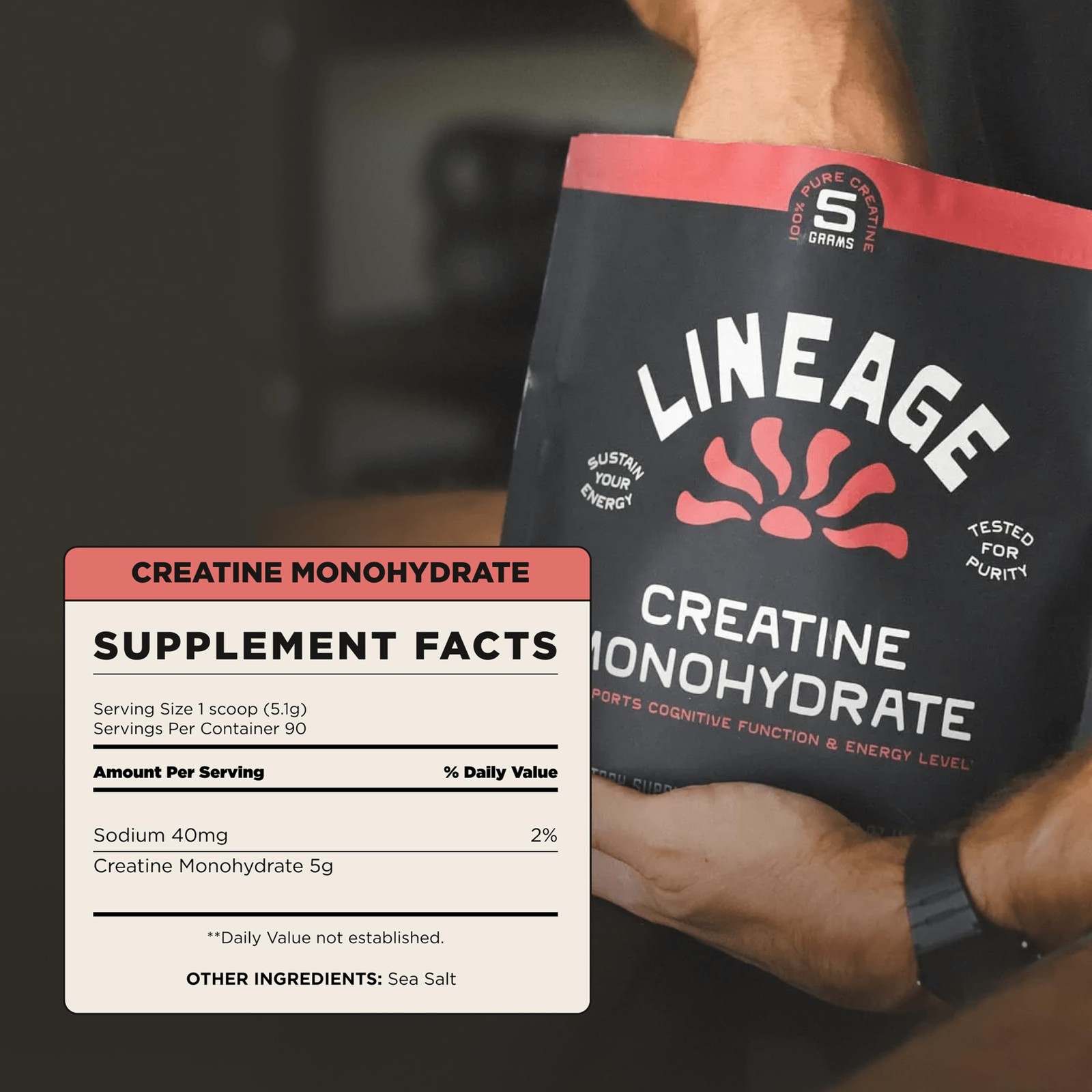 Lineage Provisions Micronized Creatine Monohydrate with Sea Salt – 1-Pack