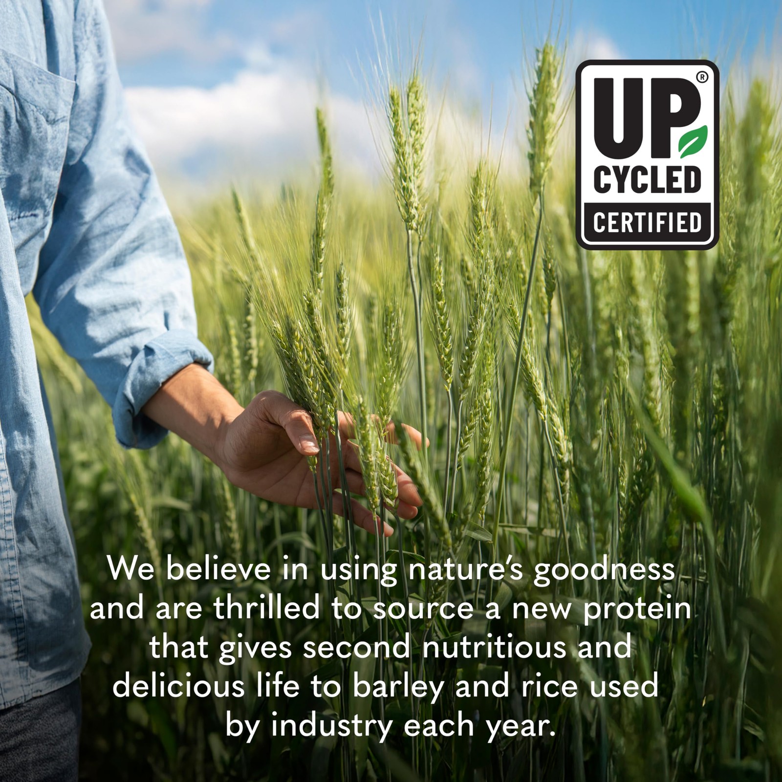 Garden Of Life Plant-Based Sprouted Barley Protein Vanilla Caramel 21G Protein