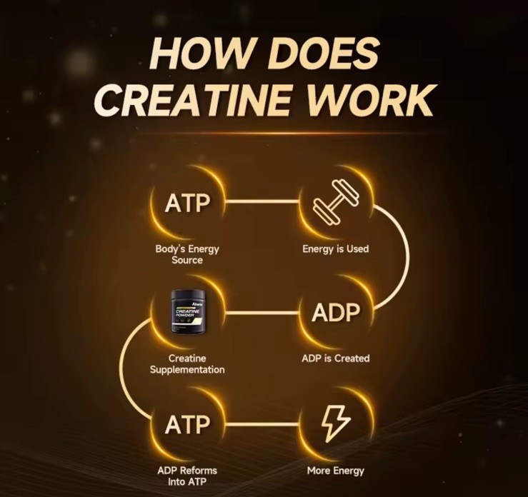 Ahete Gym Gains Creatine Monohydrate Powder Sugar-Free ⭐️ US FREE SHIPPING ⭐️