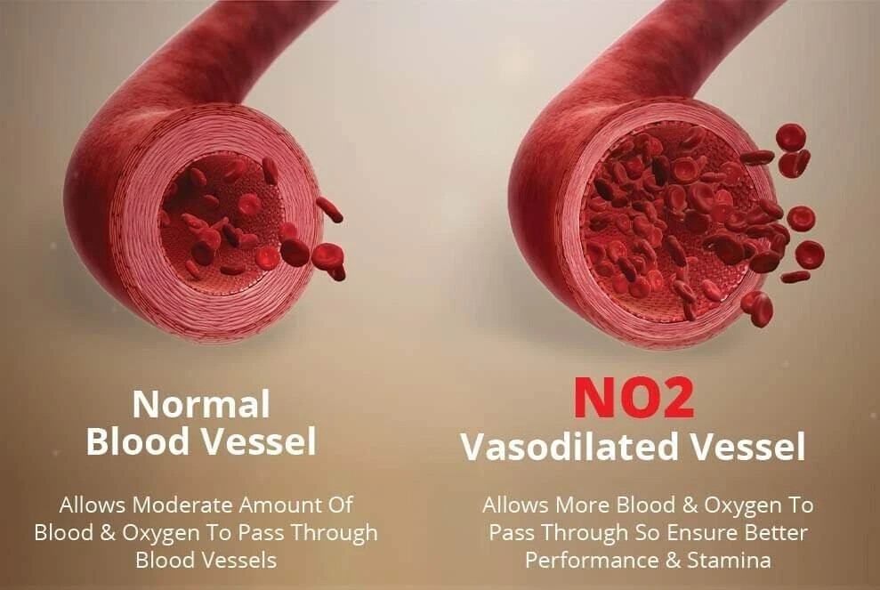 TestForm-X + NO2 Max (1 of each) – Save 20% with Combo!