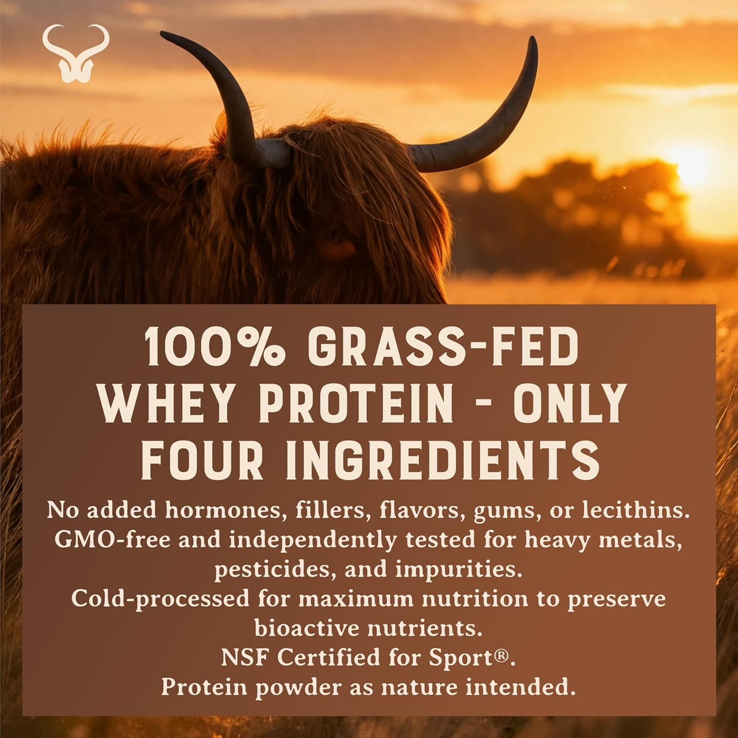 100% Grass Fed Whey Chocolate Protein Powder – Only Four Ingrediants, Absolutely