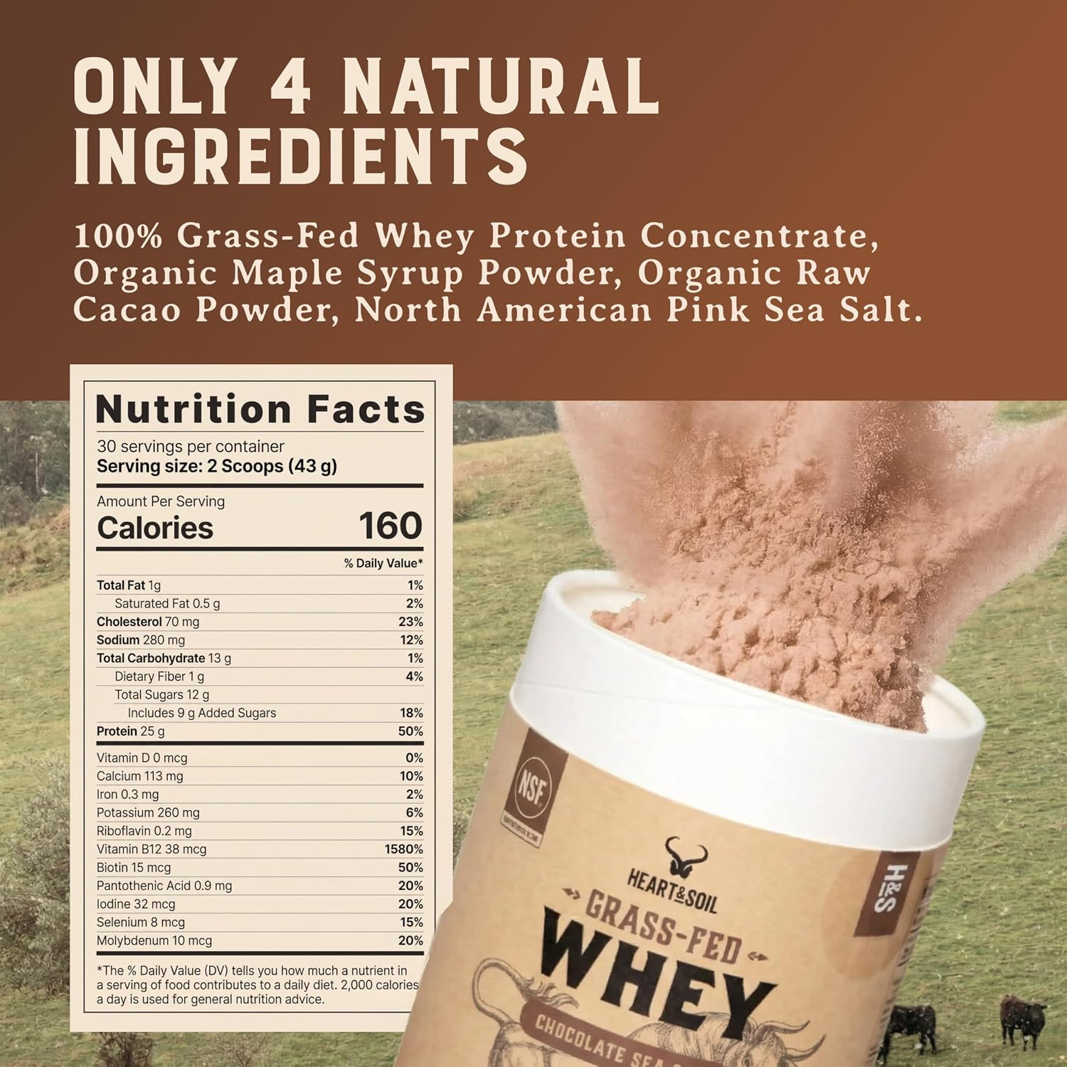 100% Grass Fed Whey Chocolate Protein Powder – Only Four Ingrediants, Absolutely