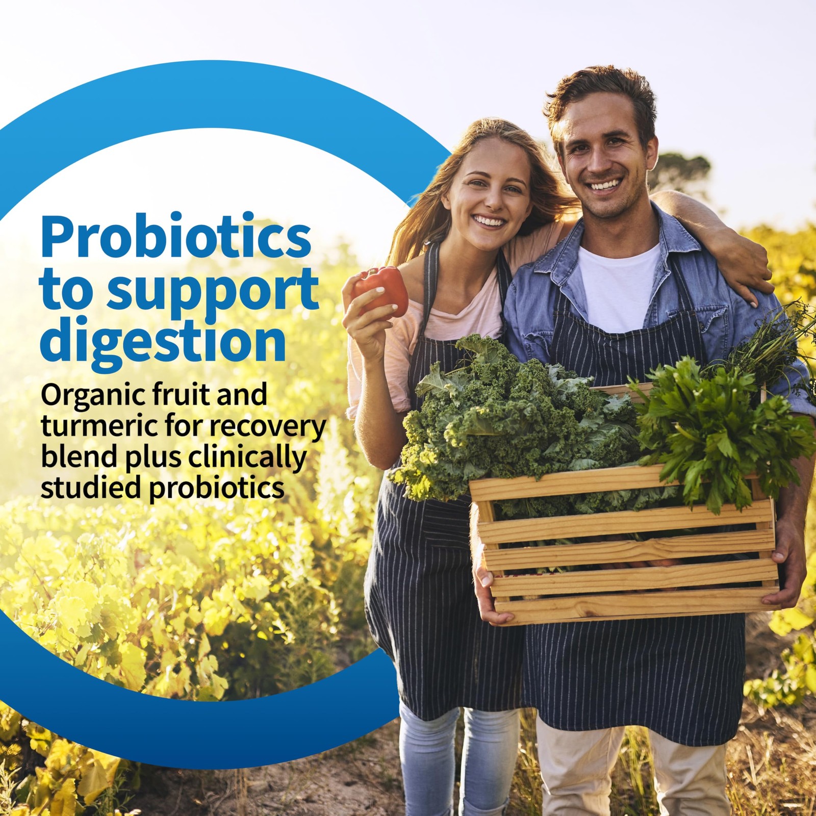 Garden Of Life Organic Vegan Protein Powder Probiotics Bcaas Nsf Certified
