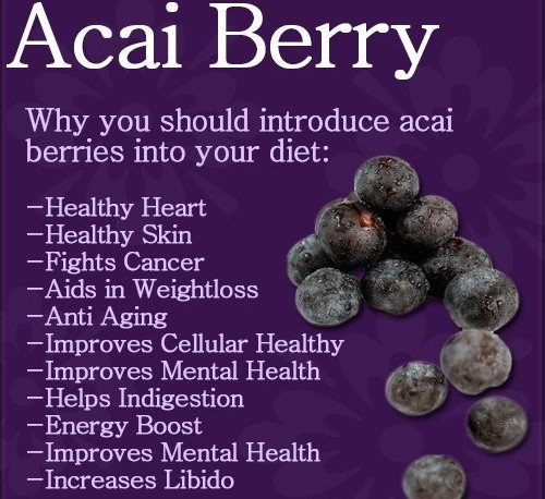 Fat Burner Yes You Can – Acai Berry Extract 1200mg 3B – Acai Energy Boost