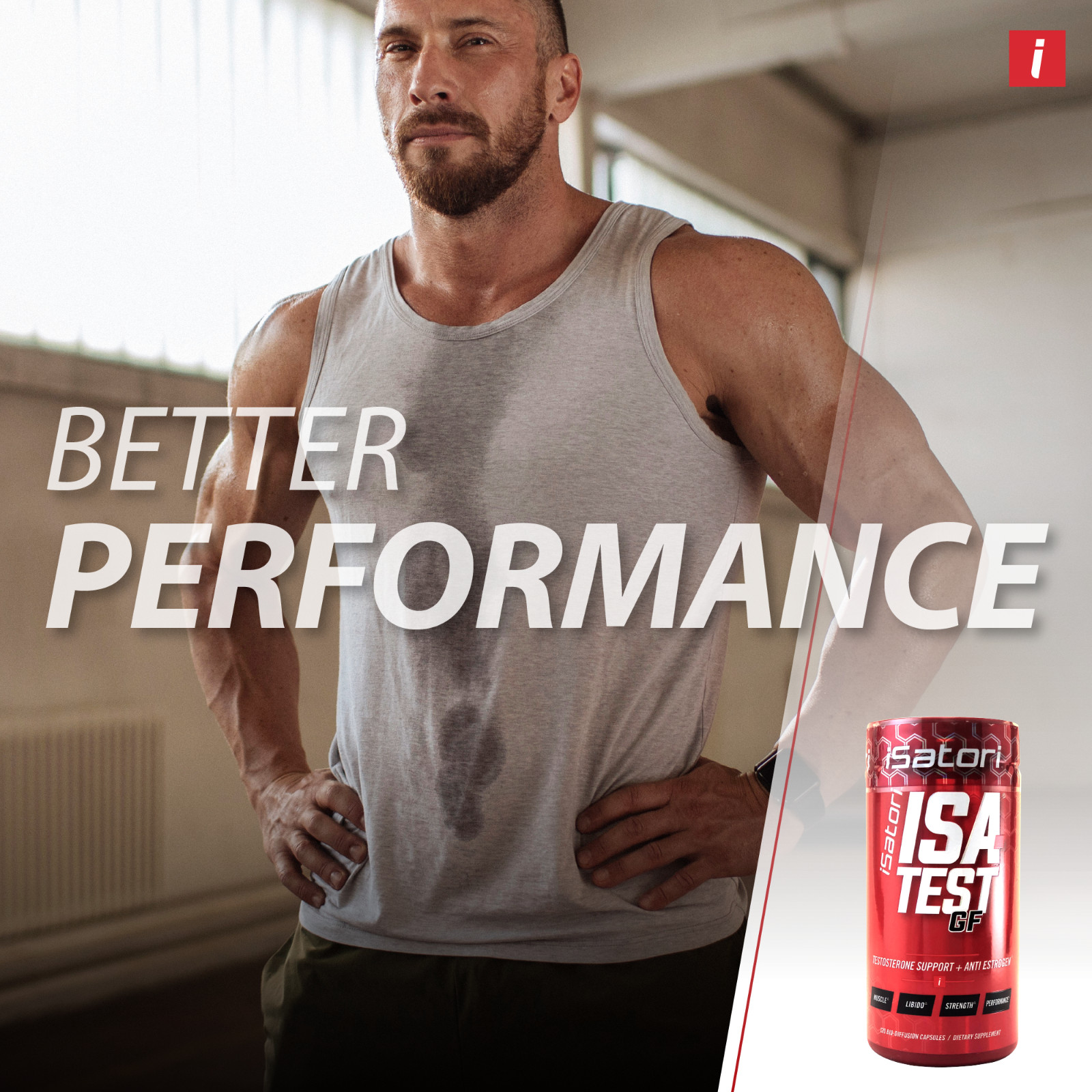 Isa-Test GF Testosterone Support Plus Anti Estrogen, 120 Count