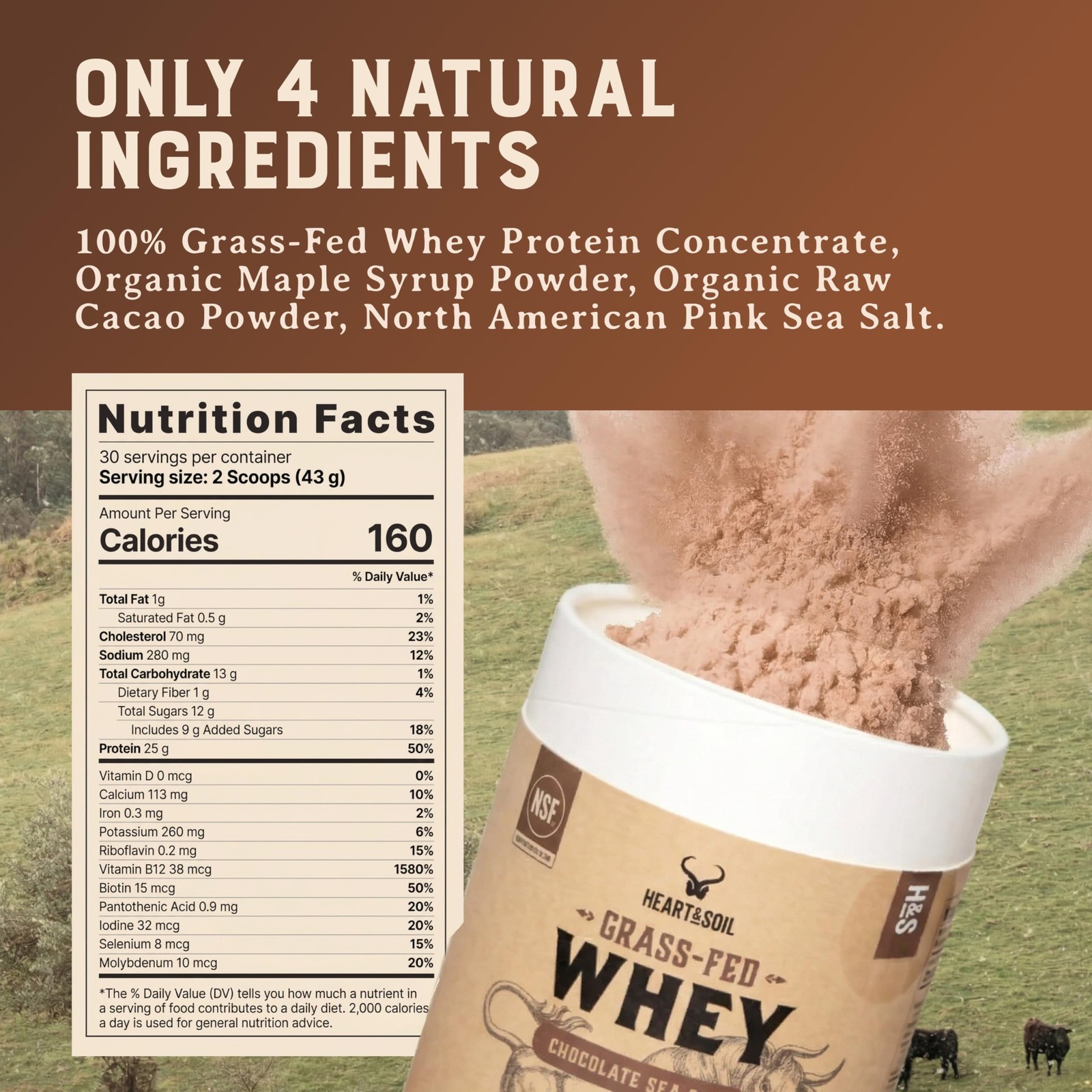 100% Grass Fed Whey Chocolate Protein Powder – Only Four Ingrediants, Absolut…