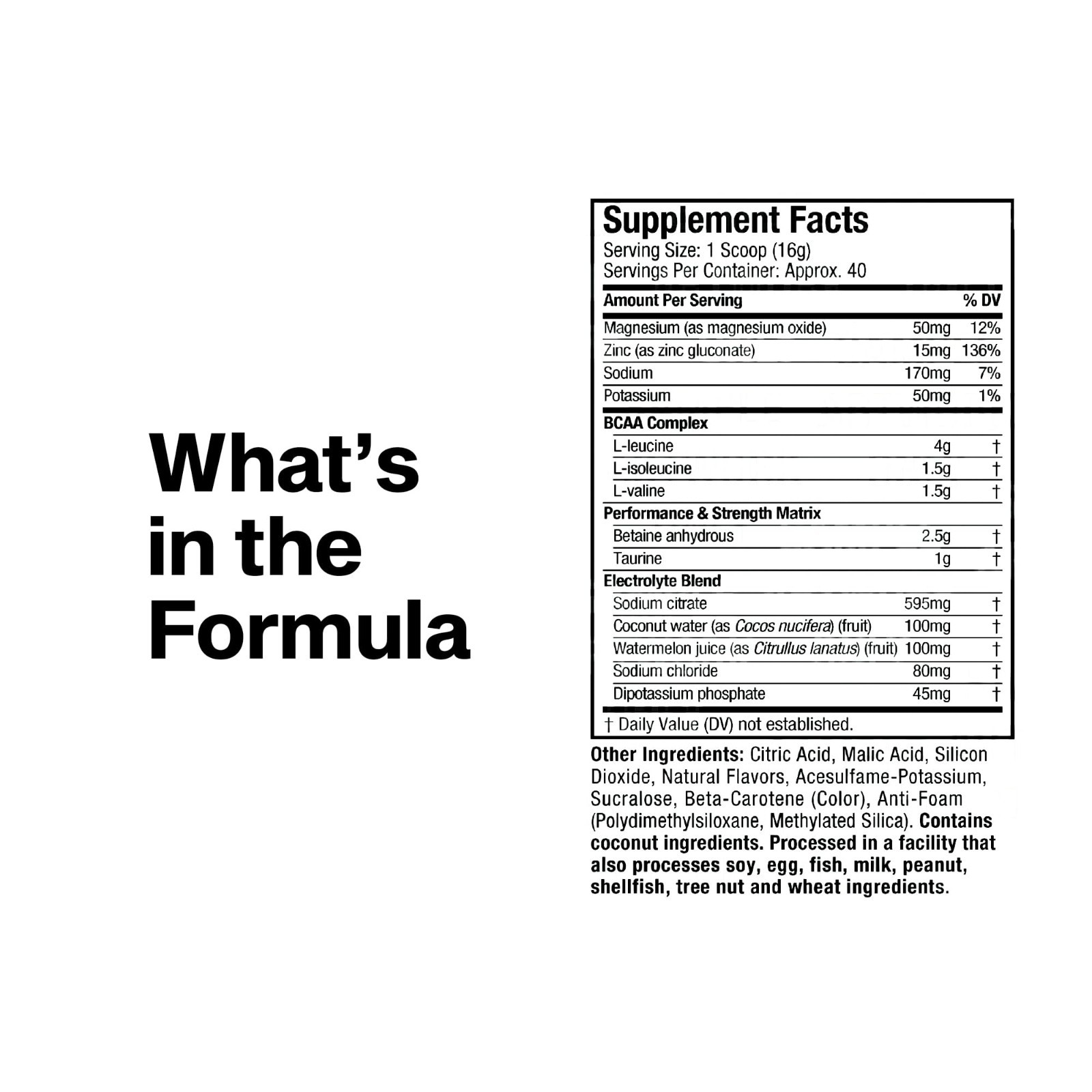 BCAA Amino Acids & Electrolyte Powder – 7g BCAAs, Build Lean Muscle, Boost Endur