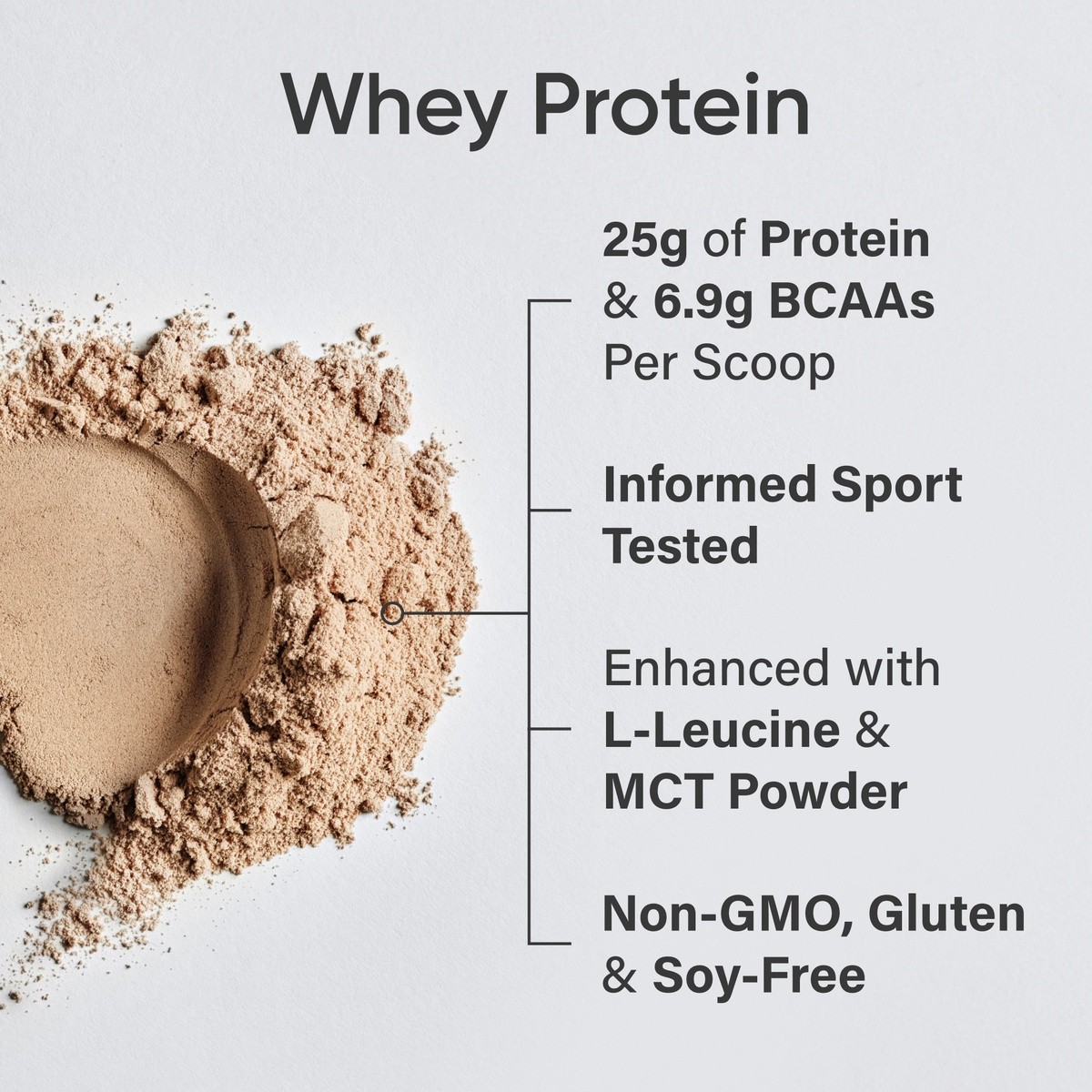 Whey Protein Isolate Sports Nutrition 2lb Bag Dutch Chocolate Powder 25 Servings