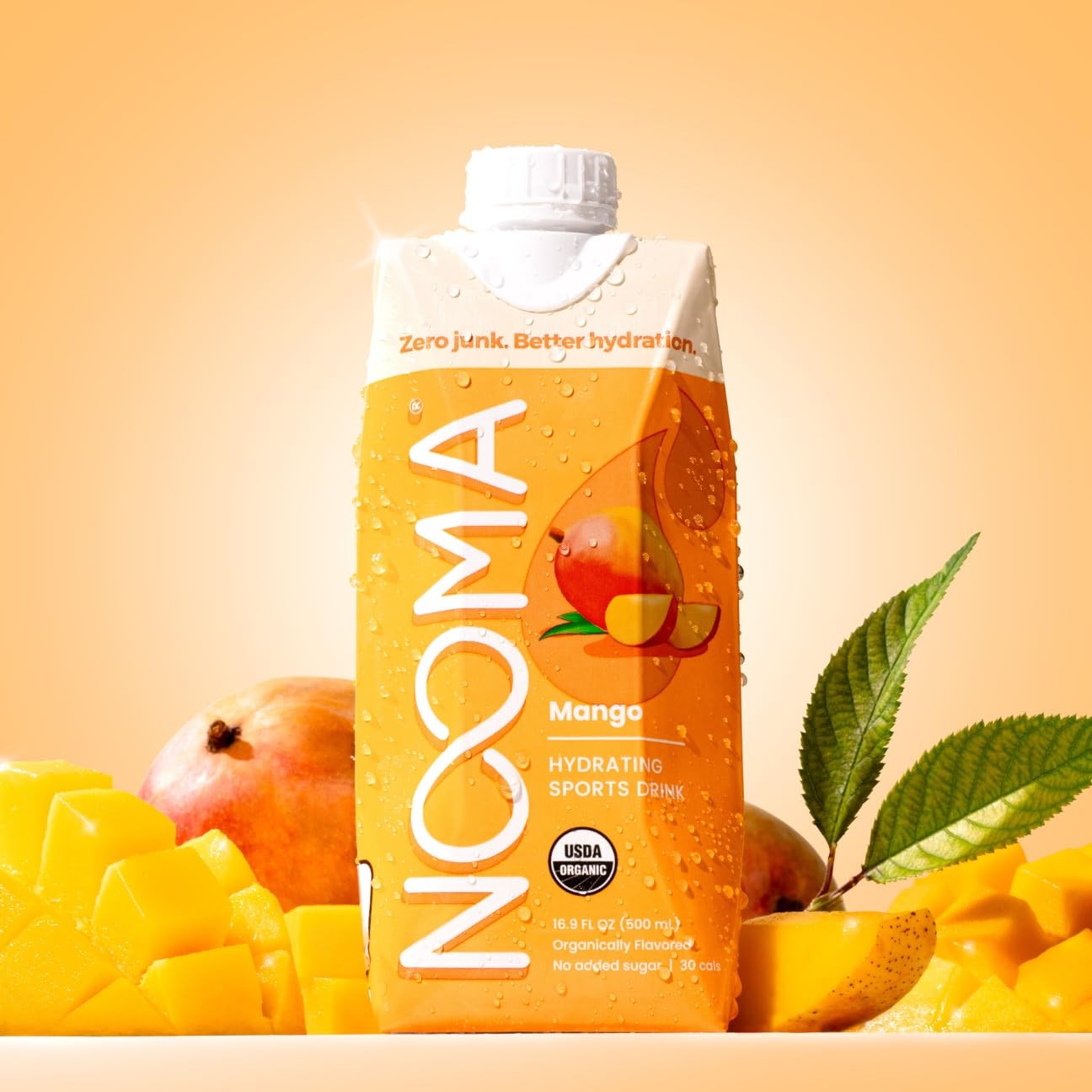 NOOMA – Hydrating Sports Drink – Electrolyte 16.9 Fl Oz (Pack of 12)