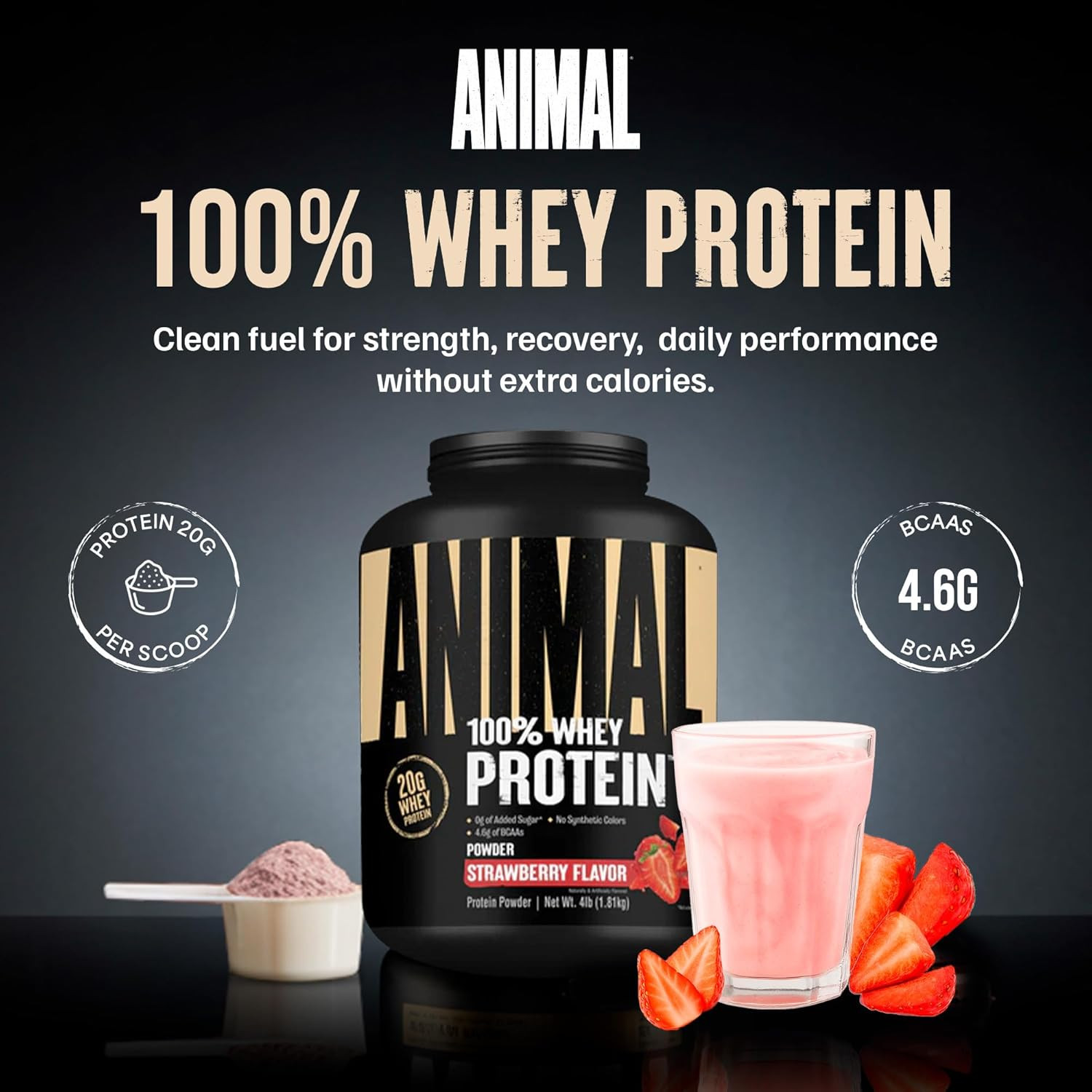 100% Whey Protein Powder – Whey Blend for Pre or Post Workout, Recovery, Anytime