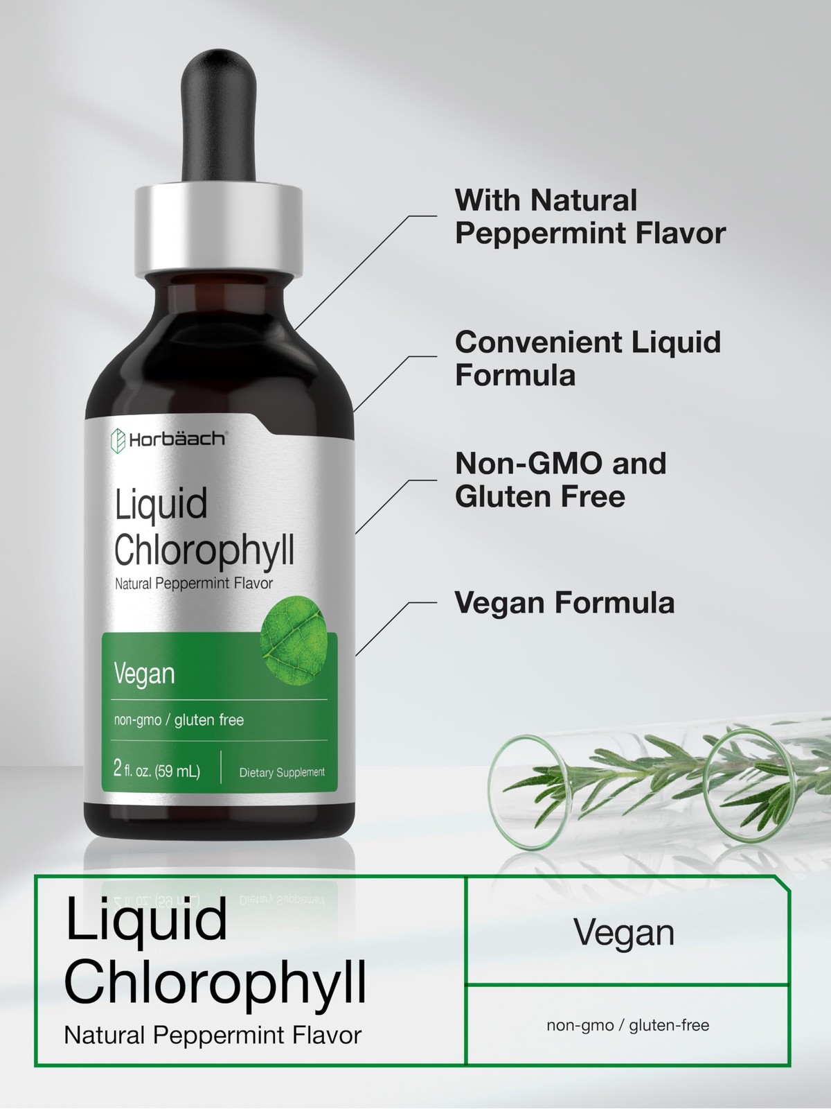 Horbäach Liquid Chlorophyll Drops | 2 oz | Vegan, 2 Ounce (Pack of 1)