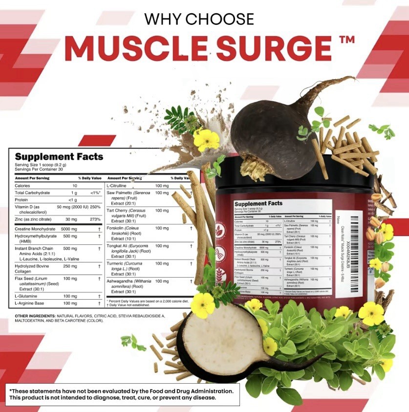 Clean Nutra Muscle Surge – All-in-One Creatine Powder for Men