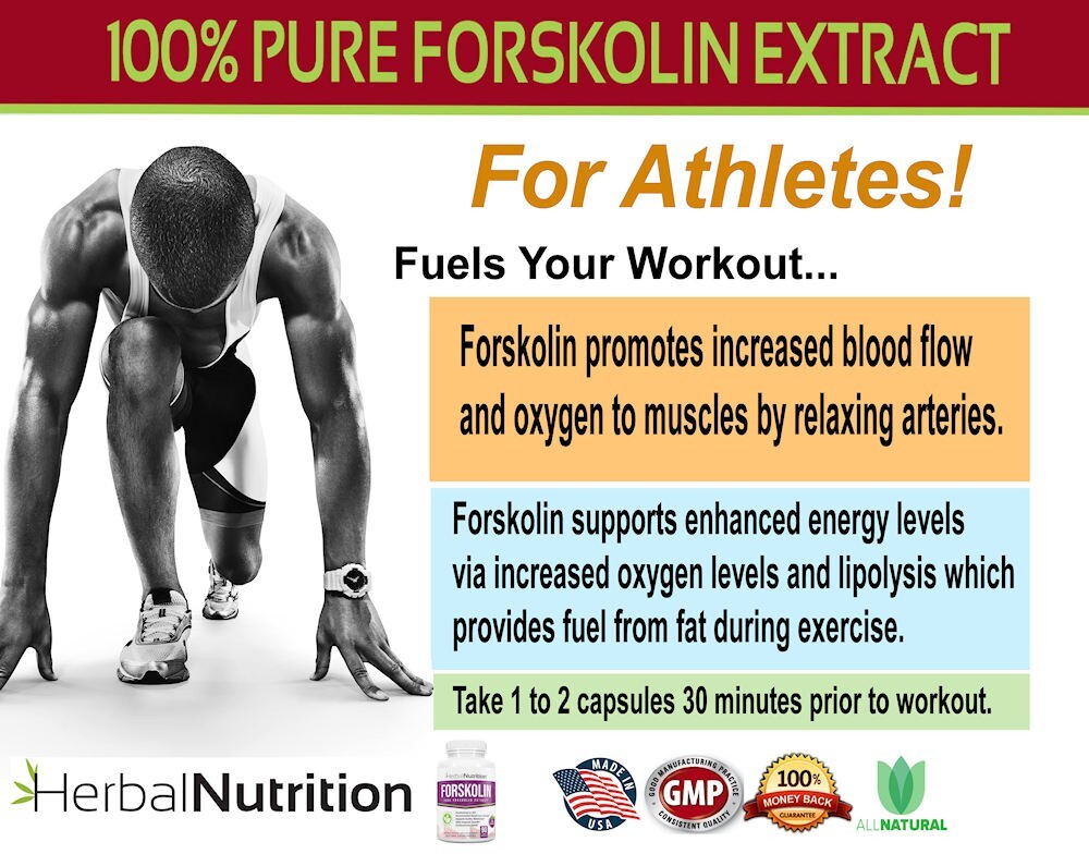Best Forskolin Weight Loss Supplement 90 Caps 250mg At 20% of Coleus Forskohlii