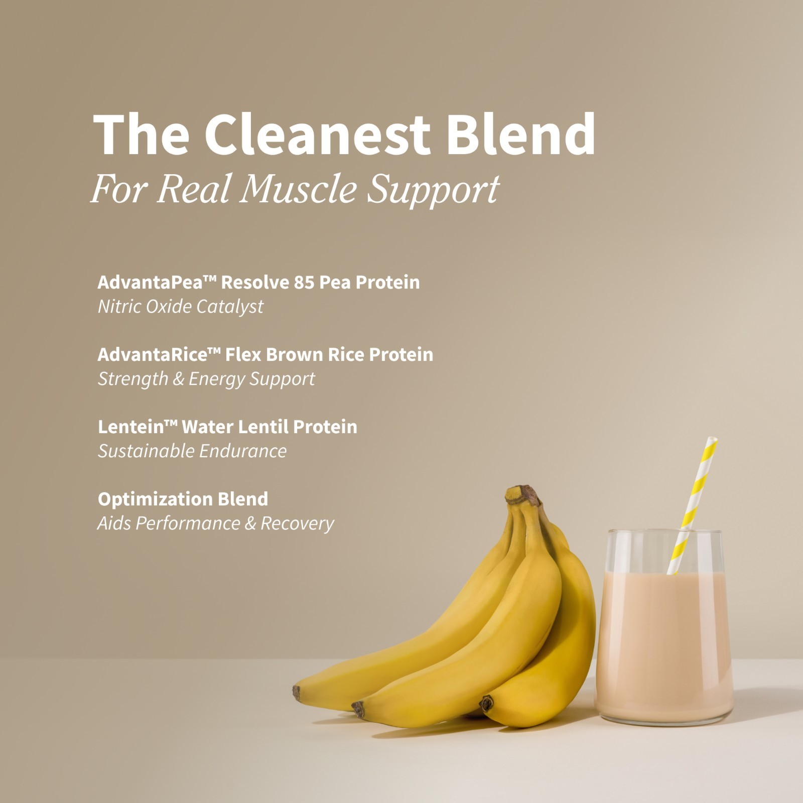 Organic Plant Protein Powder, Muscle Builder & Recovery Vegan Banana 30 Servings