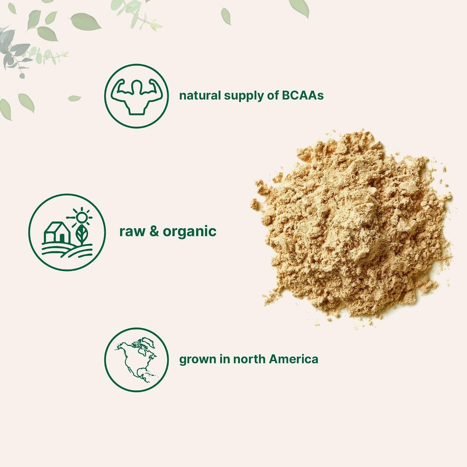 Organic Pea Protein Powder 2.2 Lbs Plant-Based Vegan Non-GMO Soy Free Amino