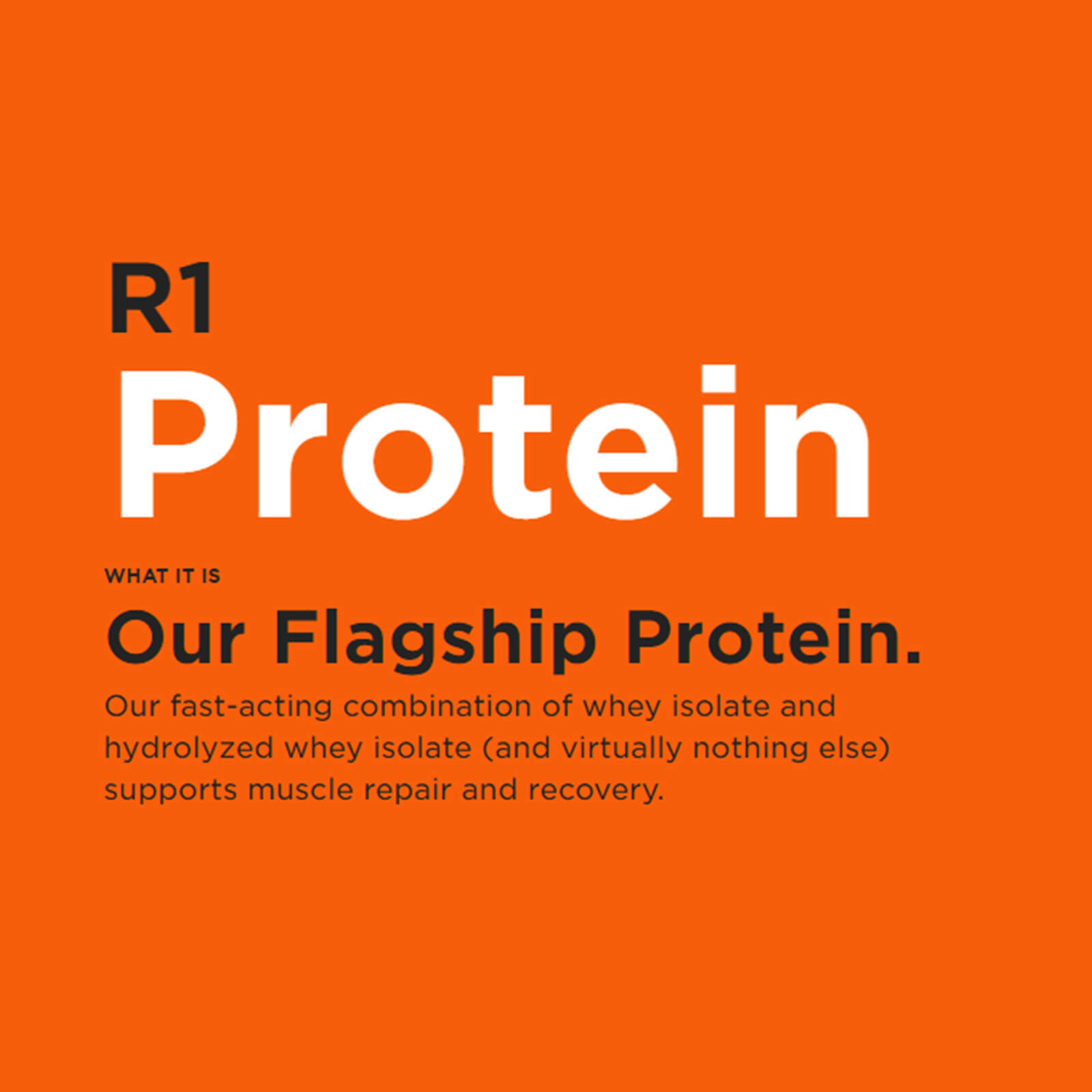 RULE 1 Protein 29 serv Café Mocha Whey Protein Isolate Hydrolysate 1.98lb