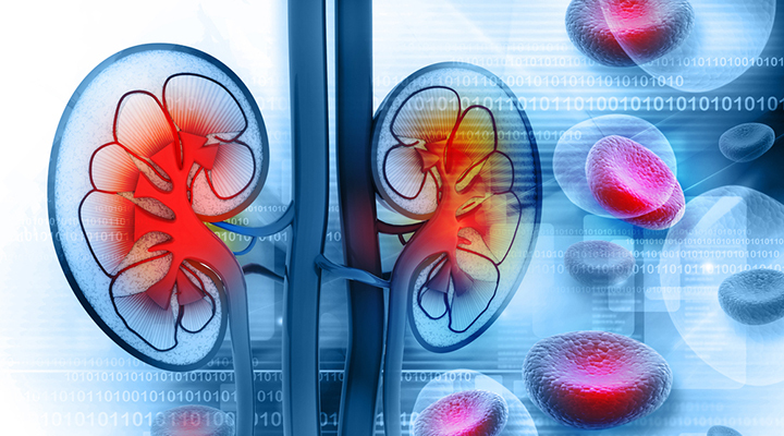 Kidney Health – KIDNEY SUPPORT – Bladder Health – Kidney Boost – 3 B 180 Ct