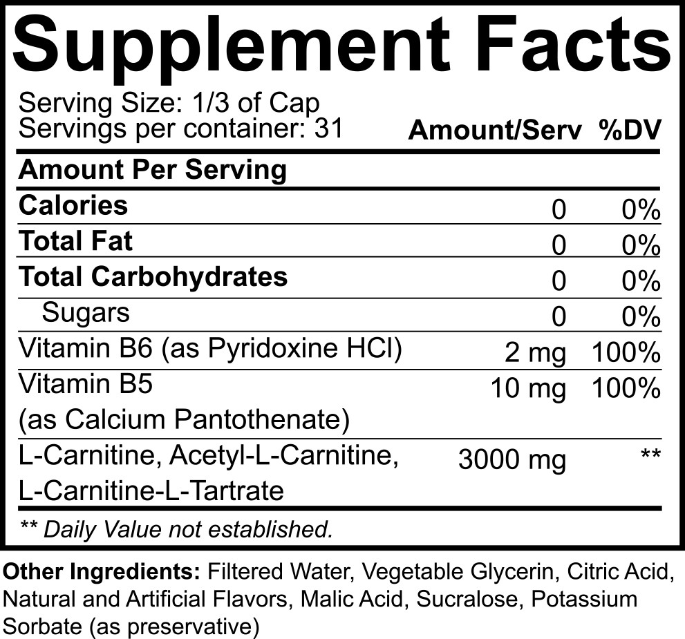 NutraKey L-Carnitine 3000mg 16oz, Turn Into Fuel, 31srv PICK FLAVOR