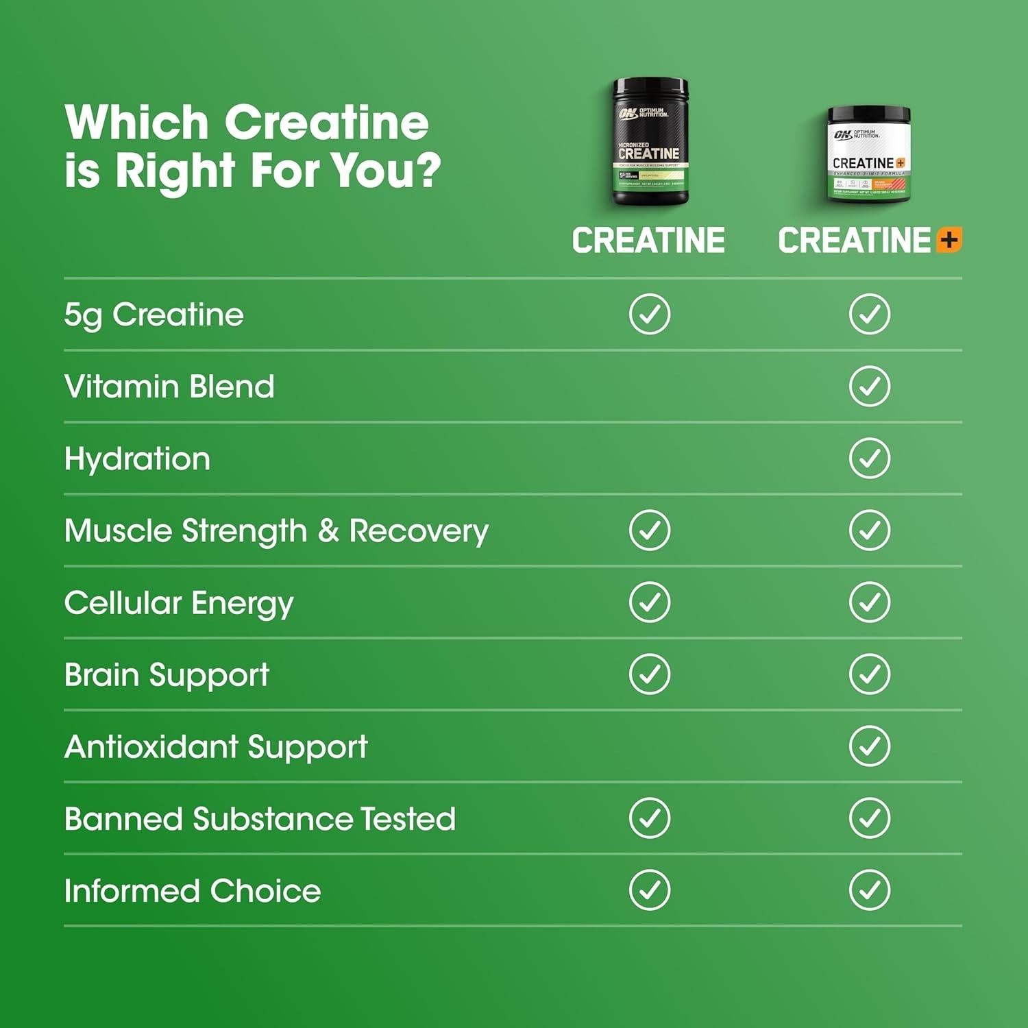 Micronized Creatine Monohydrate in Blueberry Lemonade – 60 Servings