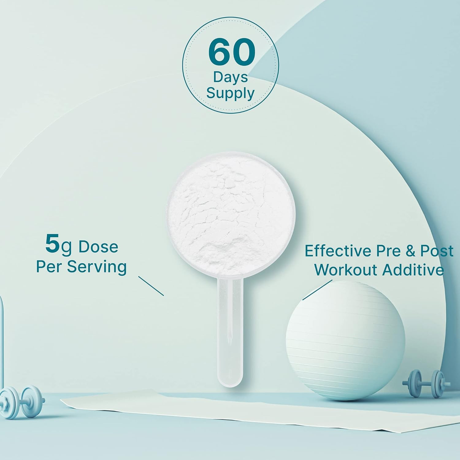 Instant Creatine Monohydrate Powder, 5G per Serving – 60 Servings | Micronized,