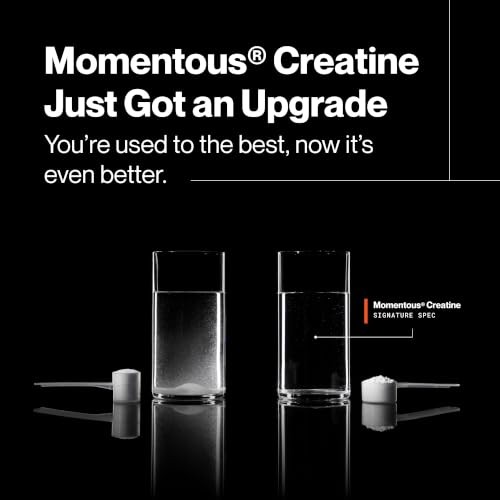 Creatine Monohydrate Powder 5g 90 Servings Strength Muscle