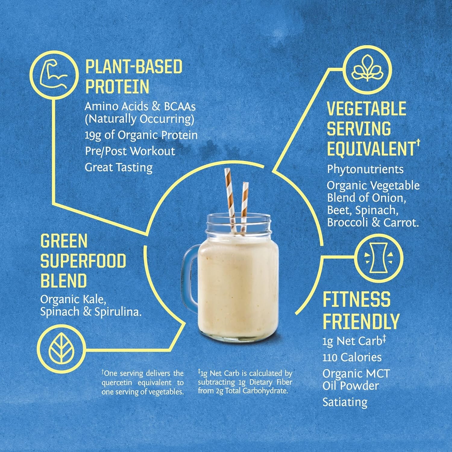 Sunwarrior Warrior Blend Protein Greens Powder Drink Mix BCAA Plant Based 1.65lb