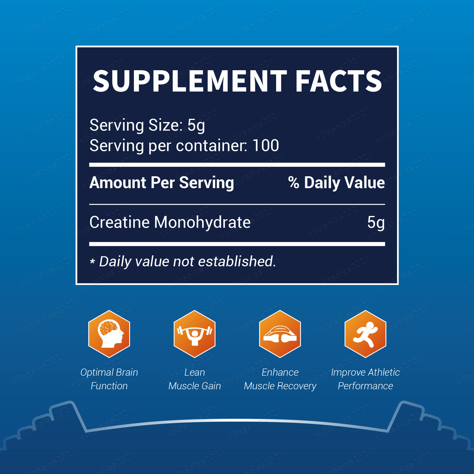 Bulk Creatine Monohydrate Powder Micronized – 5 Grams Per Serving Wholesale LOT