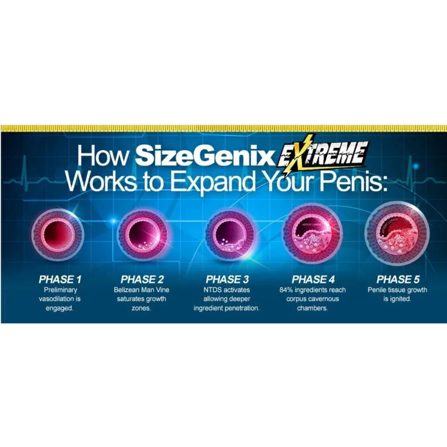 1x SizeGenix Men’s Health Supplement 1 Month Supply Boost Energy US Shipping New