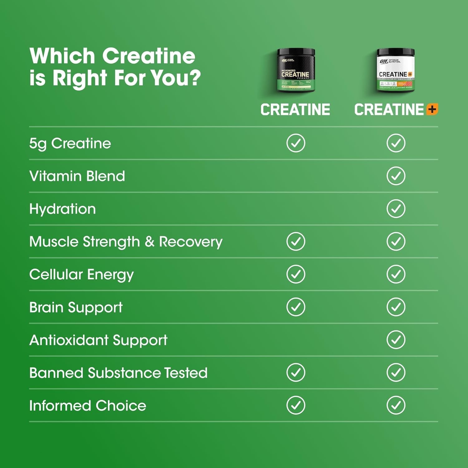 Micronized Creatine Monohydrate Powder, Blueberry Lemonade Creatine, 60 Servi…
