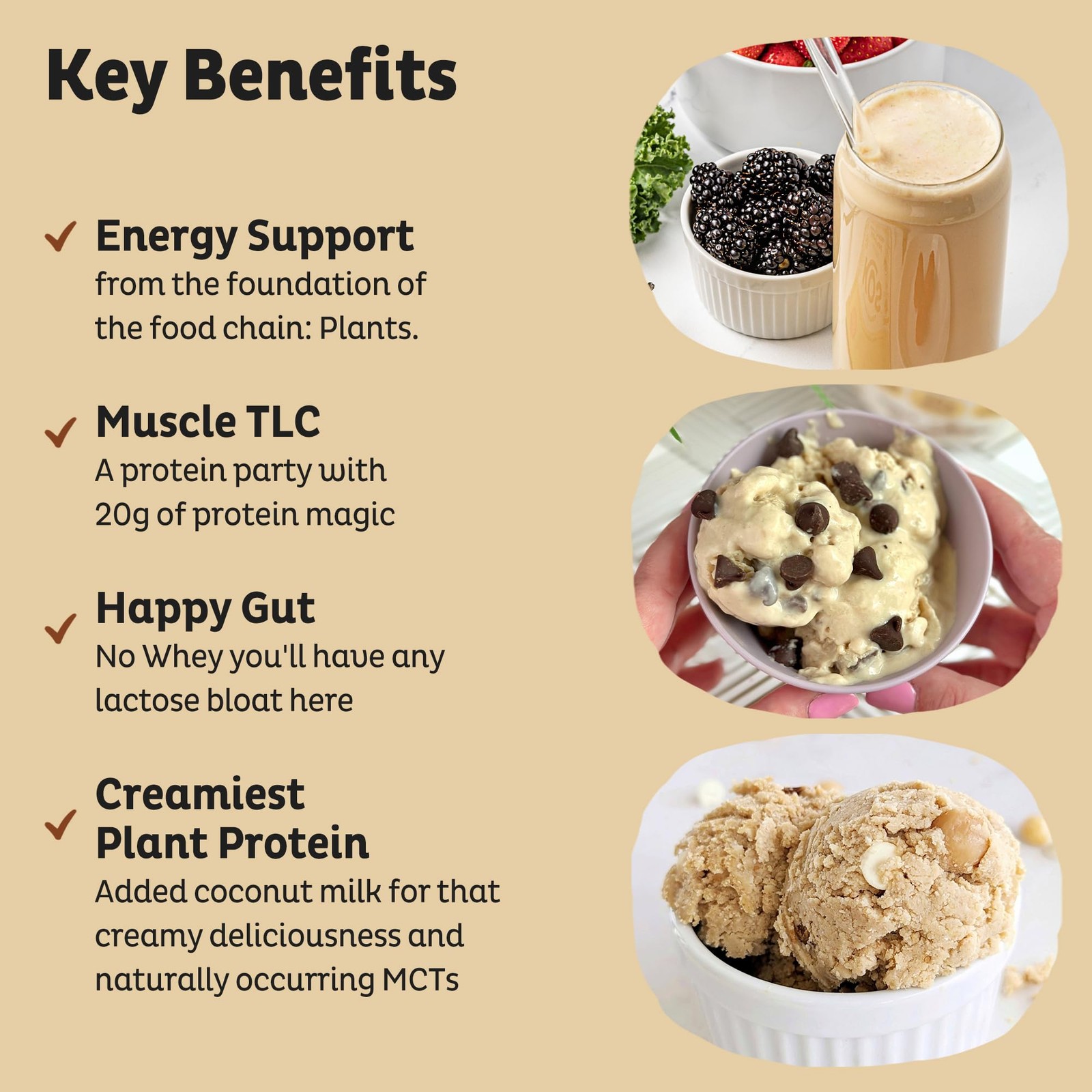 KOS Plant Based Protein Powder, Vanilla USDA Organic 13.05 Ounce (Pack of 1)