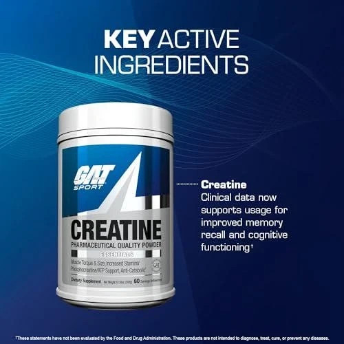 GAT SPORT Creatine Monohydrate Powder – Boost Strength, Brain Health, and – 300*