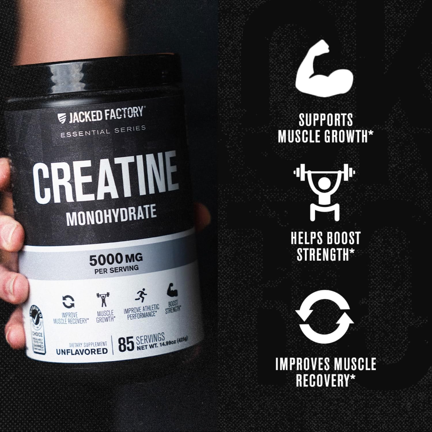 Jacked Factory Creatine Monohydrate Powder 85 Servings (Pack of 1), No Color