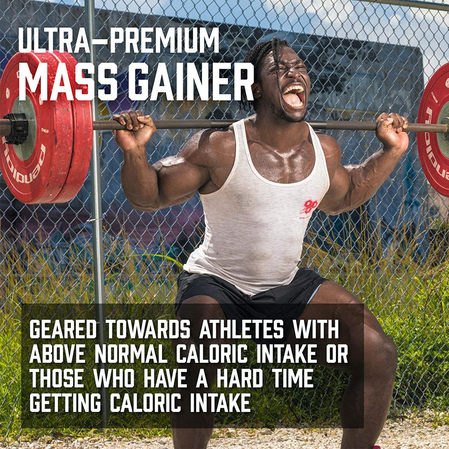 BSN, True Mass Ultra Premium Protein & Carb Matrix, Chocolate Milkshake 5.75lb