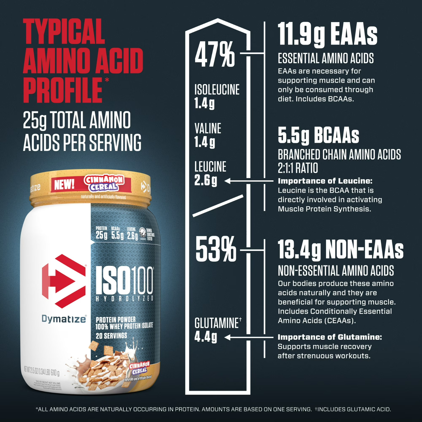 Dymatize ISO100 Hydrolyzed Whey Isolate Protein Powder Cinnamon Cereal 20 Ser