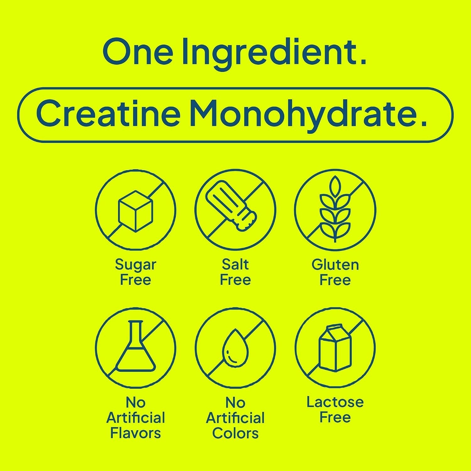 Micronized Creatine Monohydrate Powder for Women & Men – 5g Pure Creatine for…