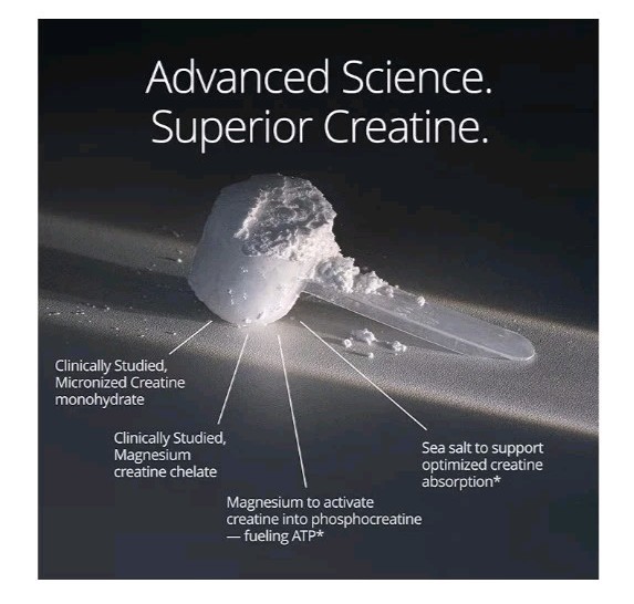 Qualia Creatine Advanced Complex 2 Sources + Magnesium Optimiz. B6