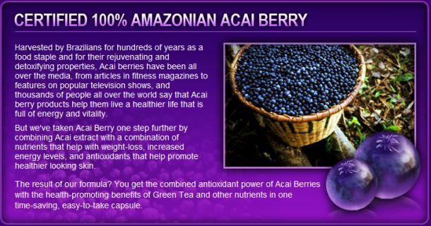 Fat Burner Yes You Can – Acai Berry Extract 1200mg 3B – Acai Energy Boost