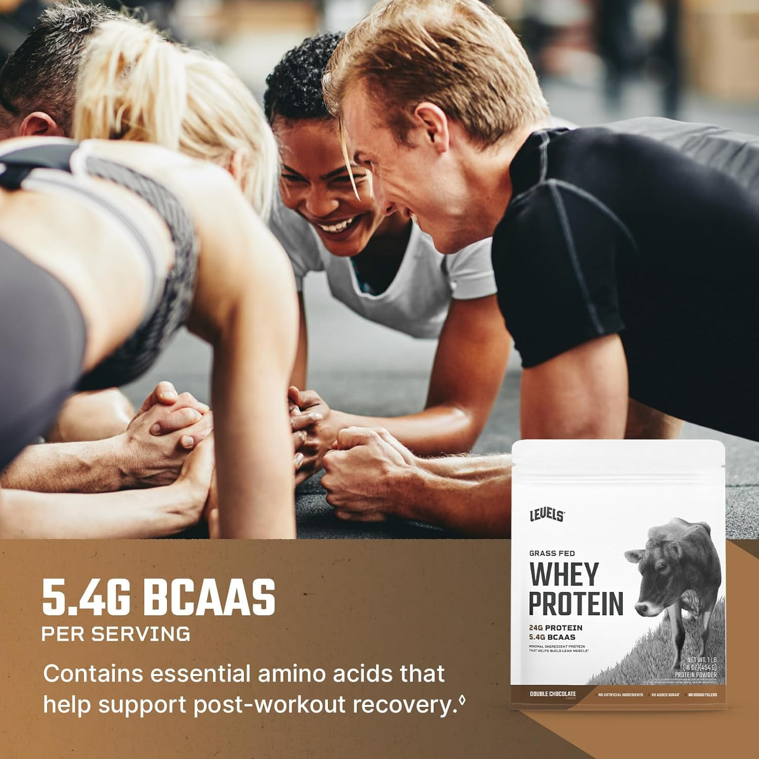 Levels Grass Fed Whey Protein Powder, No Artificials, 24G of Protein, Double Cho