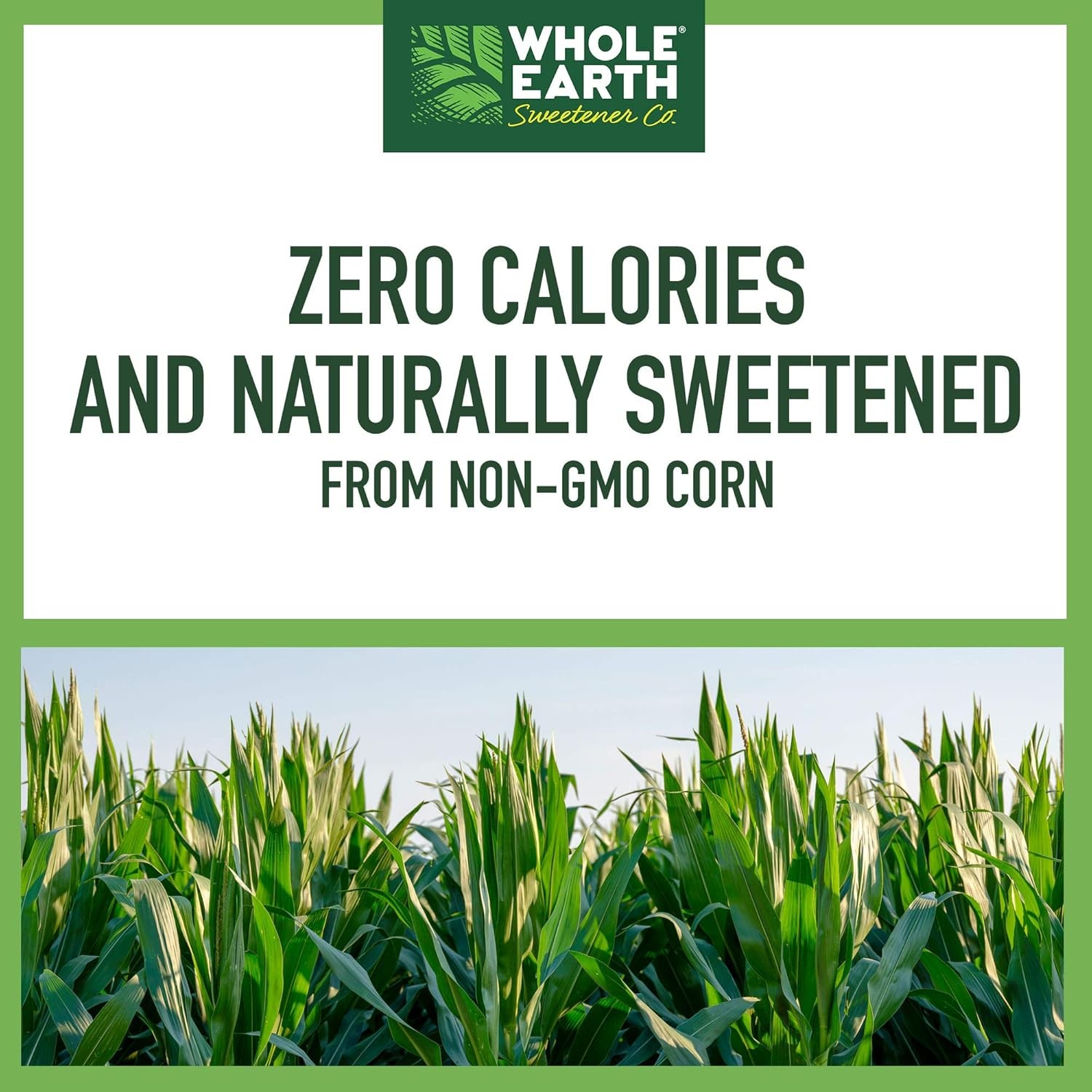 Whole Earth Sweetener Co. 100% Erythritol 16 Ounce (Pack of 1)