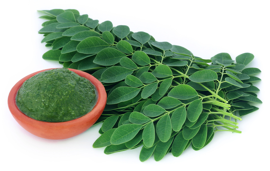 Antioxidant capsules – MORINGA OLEIFERA 1200 – weight loss supplements – 2B