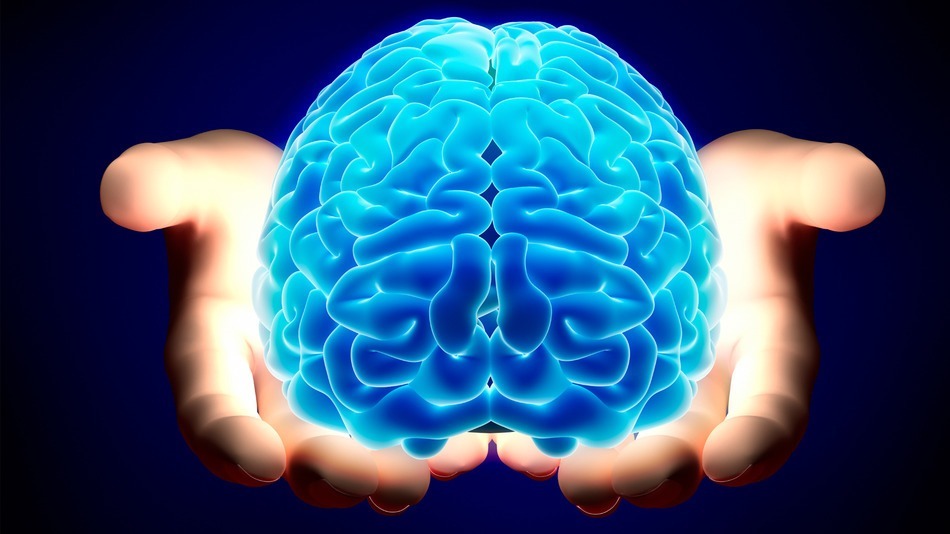 Antioxidant powder BRAIN & MEMORY BOOSTER COMPLEX immune support organic 3 Bot