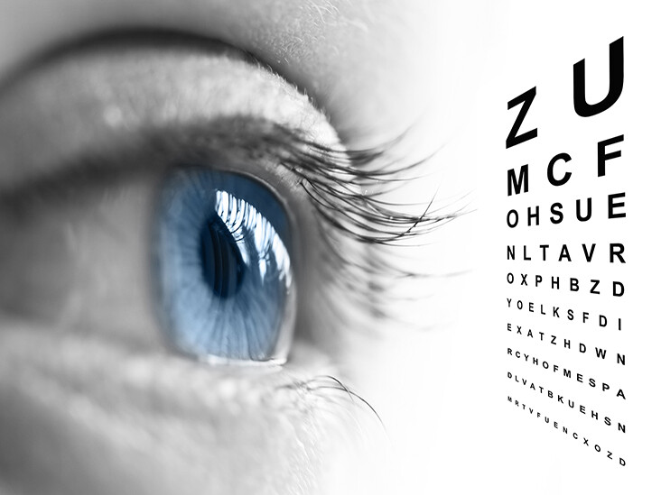 immune system booster – EYE VISION GUARD – bilberry herb 2B