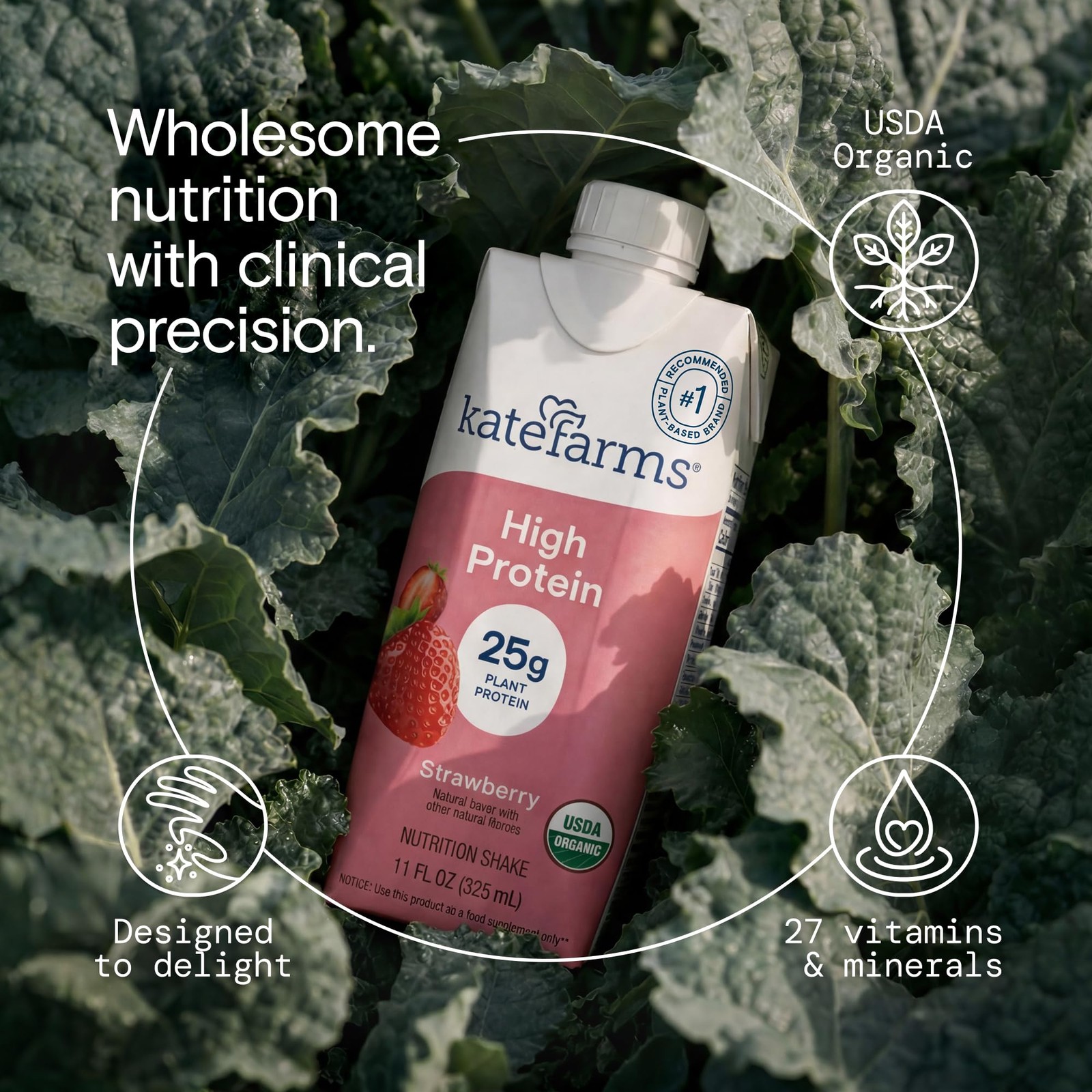 KATE FARMS Organic High Protein Strawberry Nutrition 11 Fl Oz (Pack of 6)