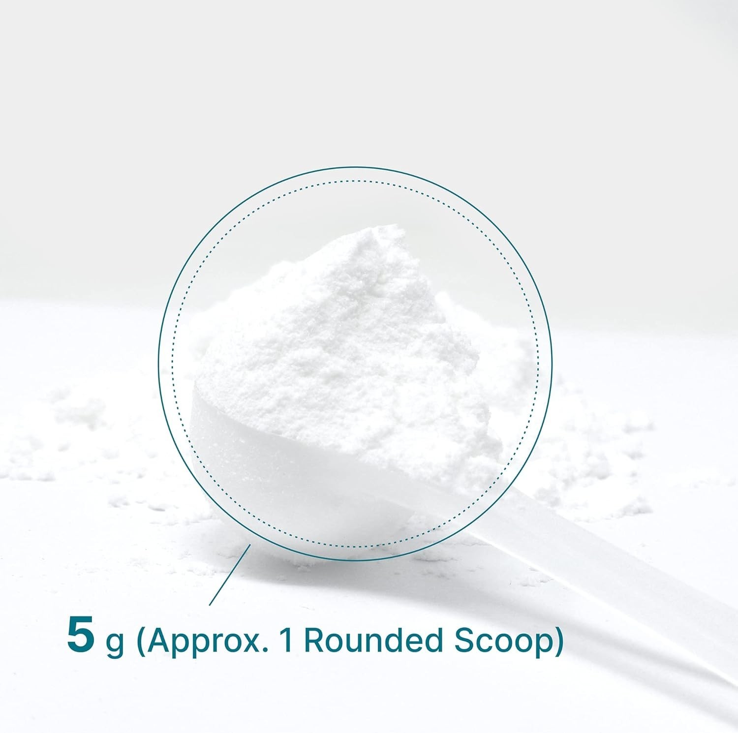 DEAL SUPPLEMENT Instant Creatine Monohydrate Powder, 5g Per Serving – 60 Serving