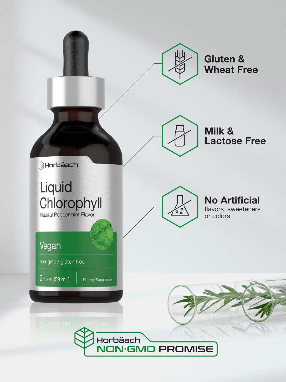 Horbäach Liquid Chlorophyll Drops | 2 oz | Vegan, 2 Ounce (Pack of 1)